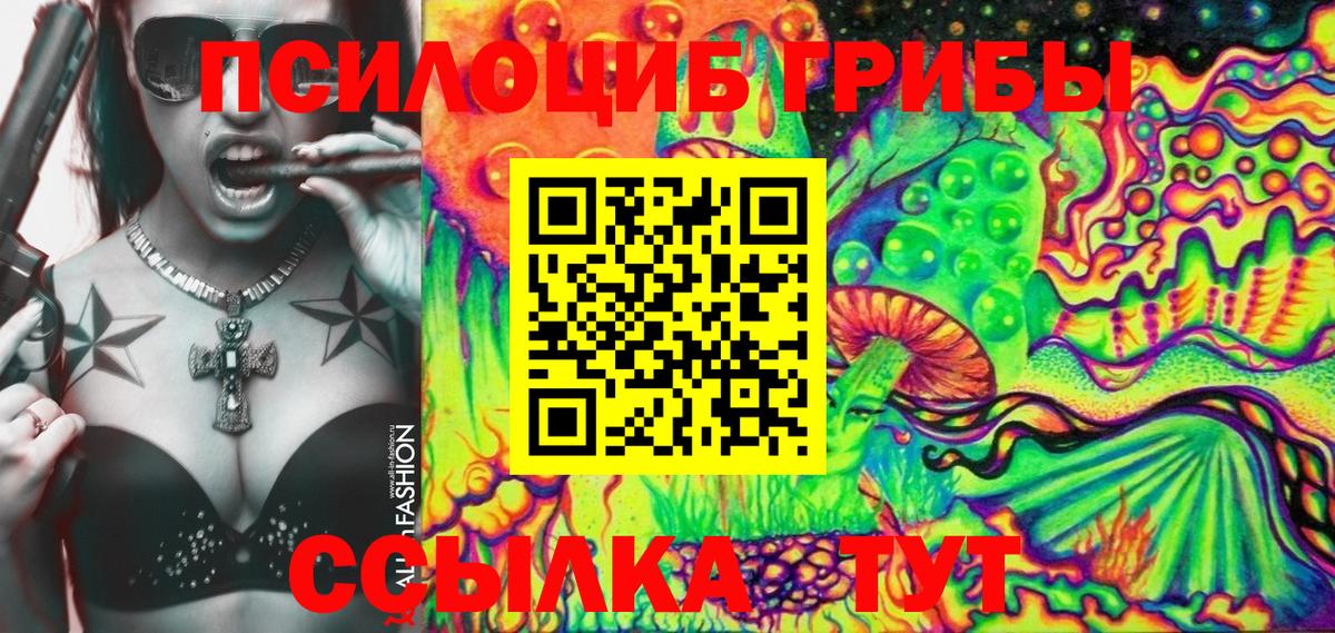 Псилоцибиновые грибы Psilocybe  цены   Солнечногорск  Вход с VPN 